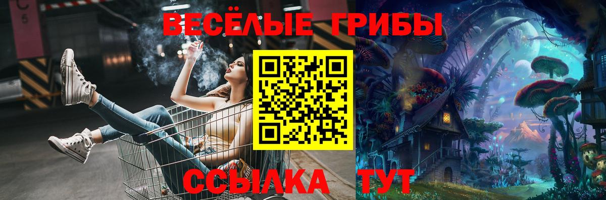 Галлюциногенные грибы Cubensis Магадан